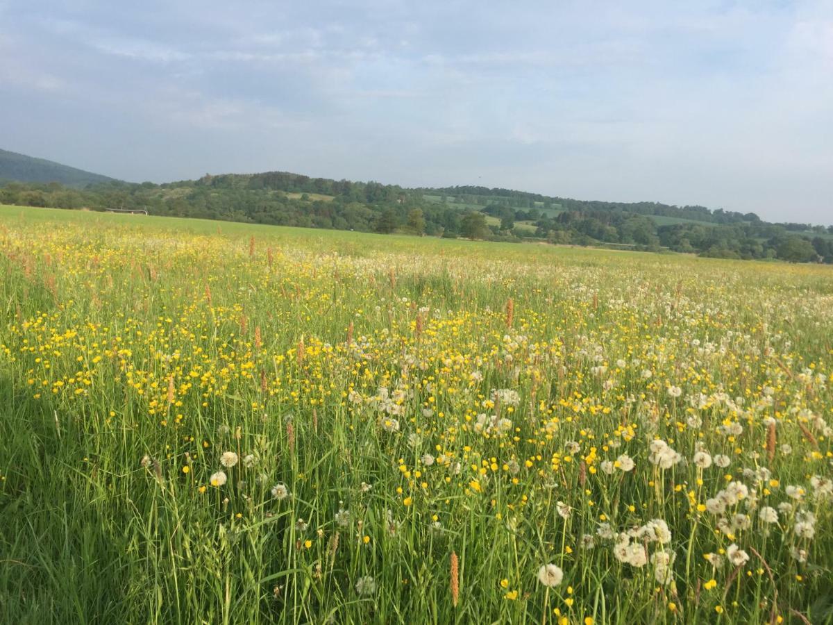 Fewo Haus Emma Og Löhnberg Buitenkant foto